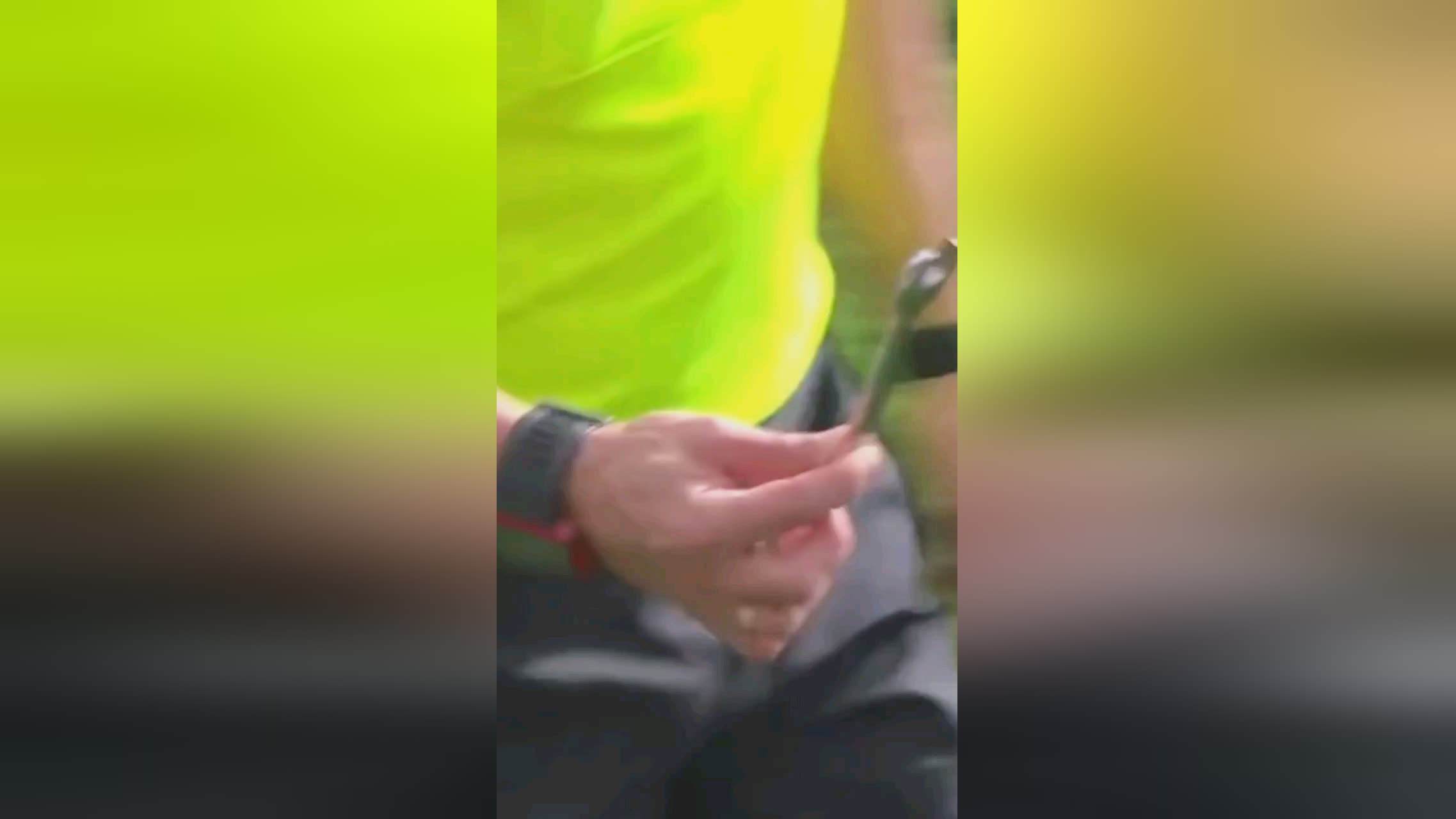 蒂斯